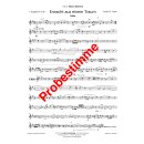 Erwacht aus einem Traum - Polka (Böhmische Besetzung) Download Ausgabe