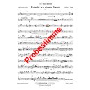 Erwacht aus einem Traum - Polka (Böhmische Besetzung) Download Ausgabe